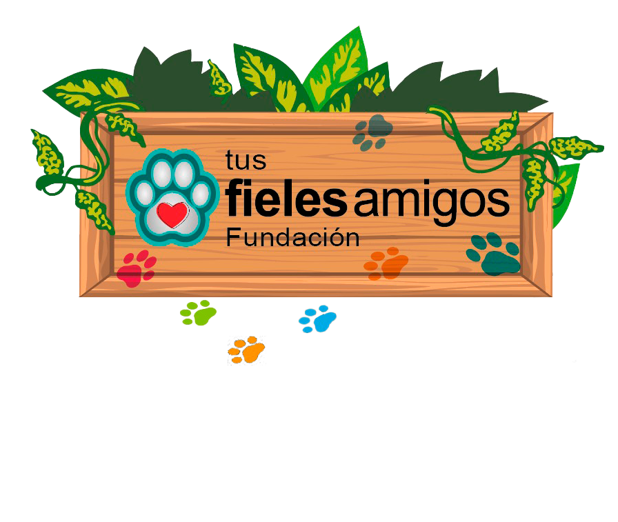 Tus Fieles Amigos